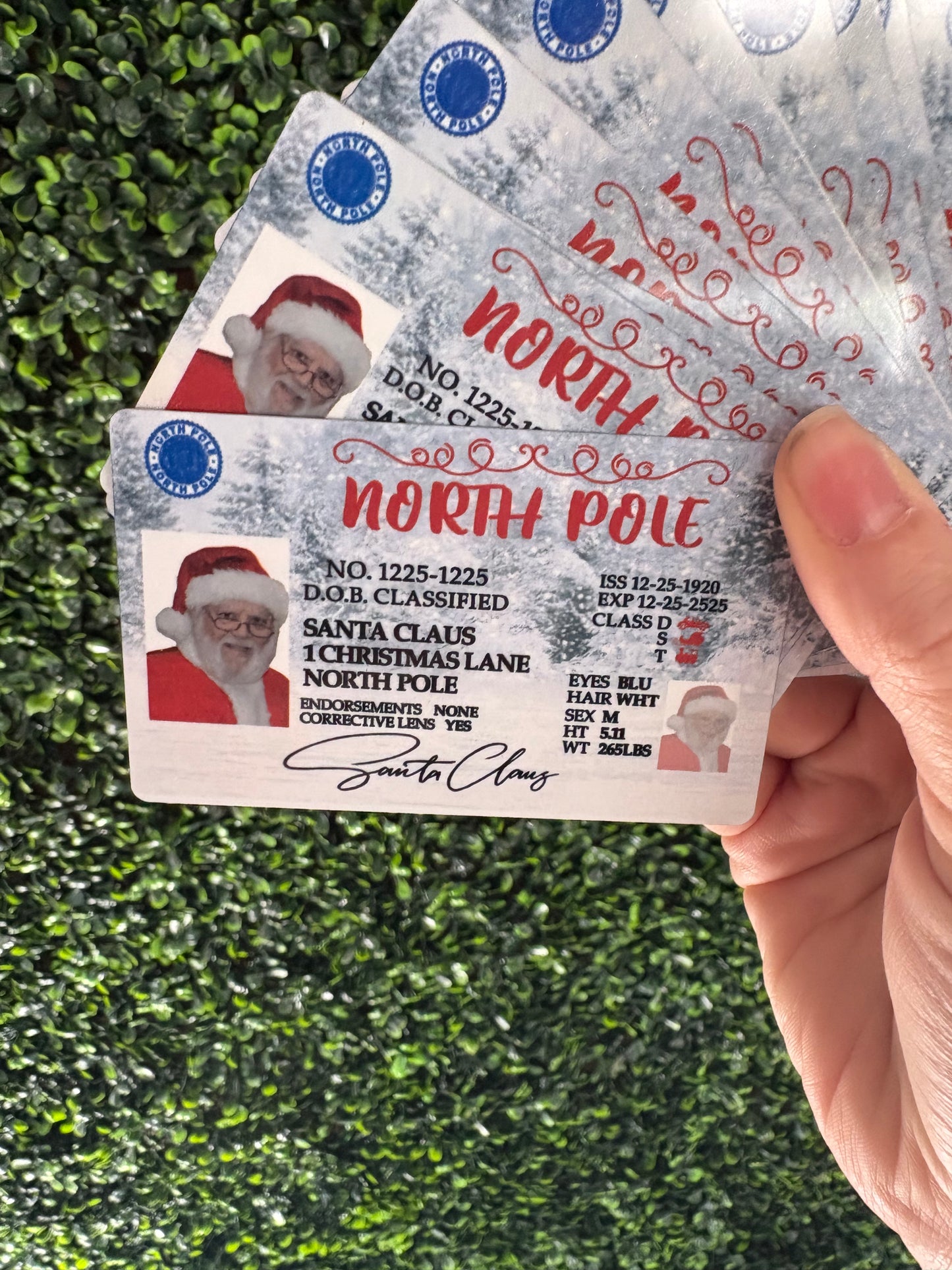 North Pole License