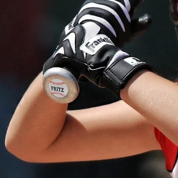 Bat Decals