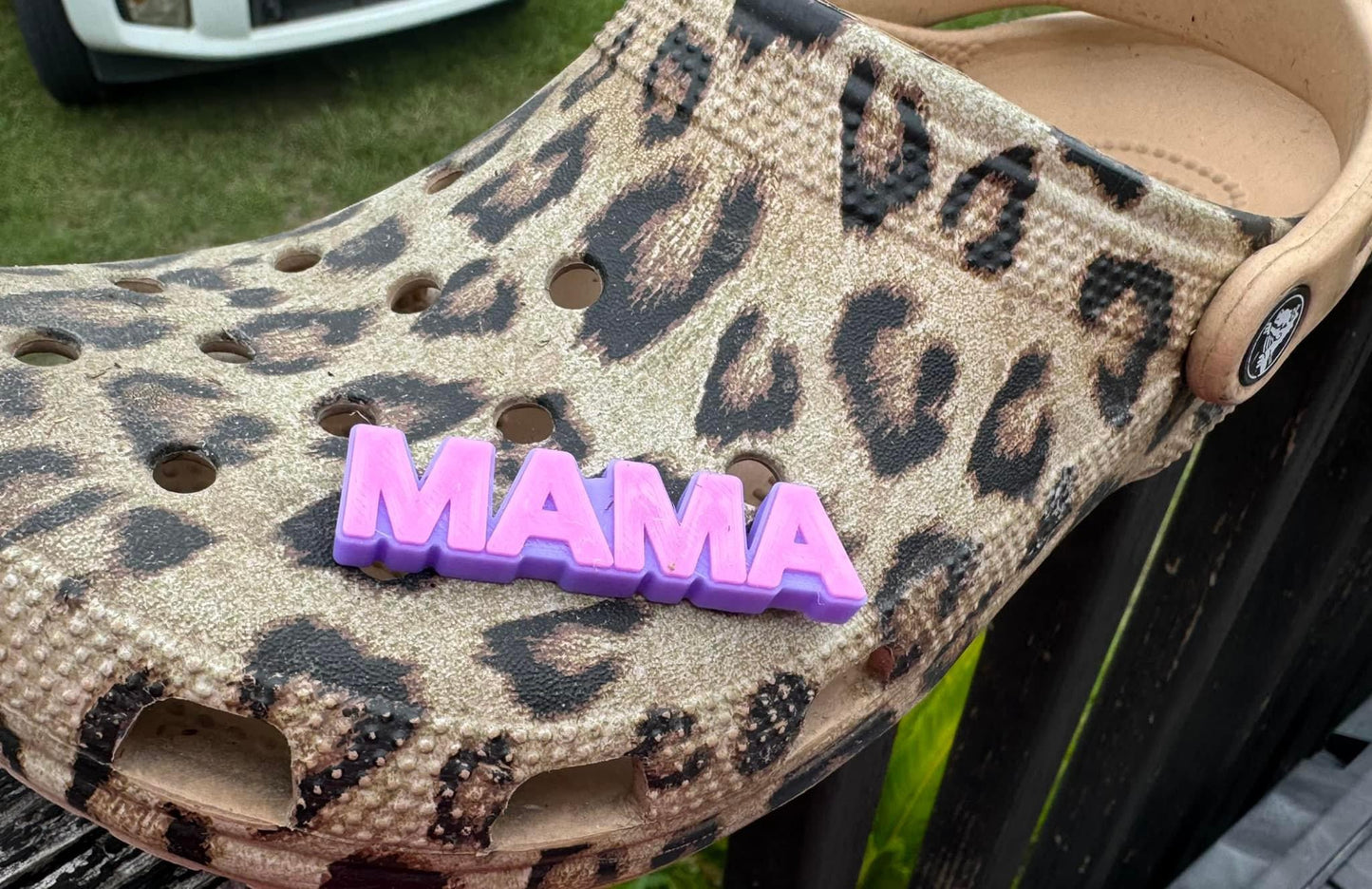 Shoe charms