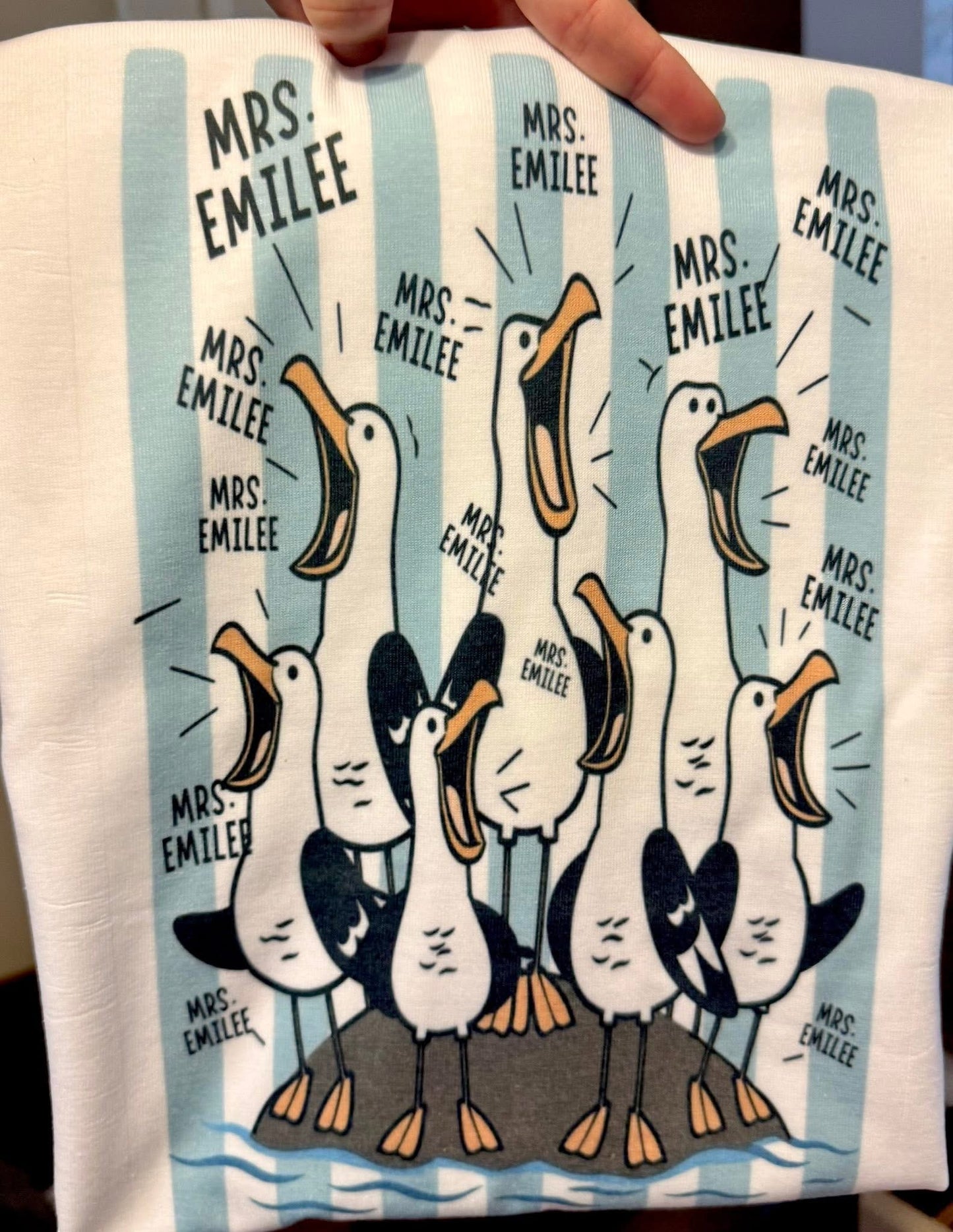Seagull teacher