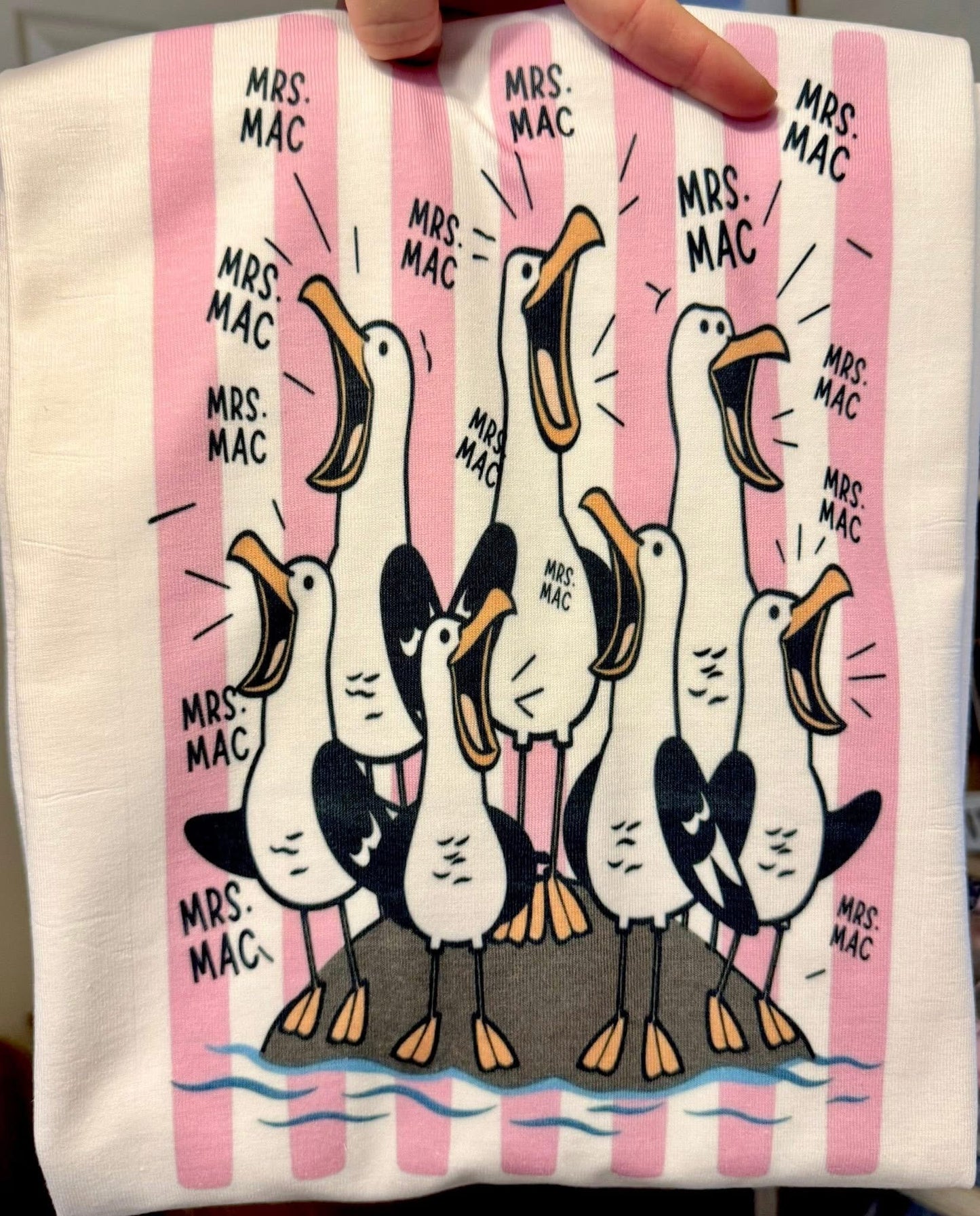Seagull teacher